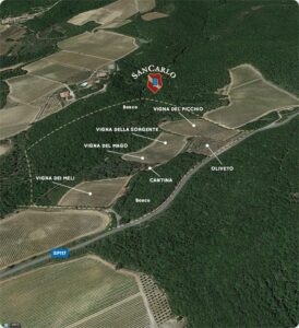 Azienda SanCarlo Montalcino