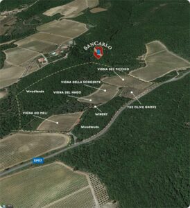 SanCarlo Montalcino Estate