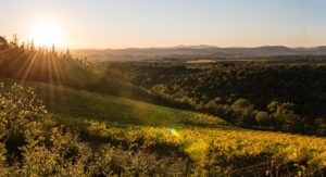 Visita in azienda - SanCarlo Montalcino