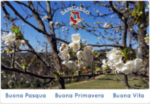 Buona Pasqua Buona Vita