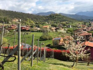 Alessandro, da Bergamo, Aprile 2021: Serena Pasqua a te a famiglia dalla Val Cavallina
