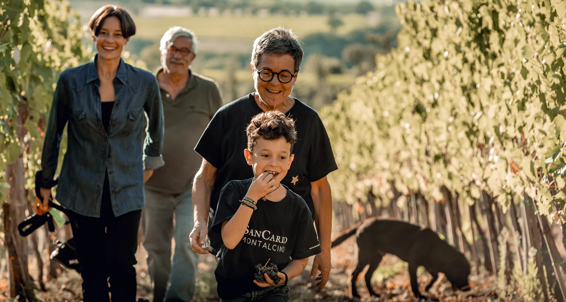 Famiglia Marcucci SanCarlo Montalcino