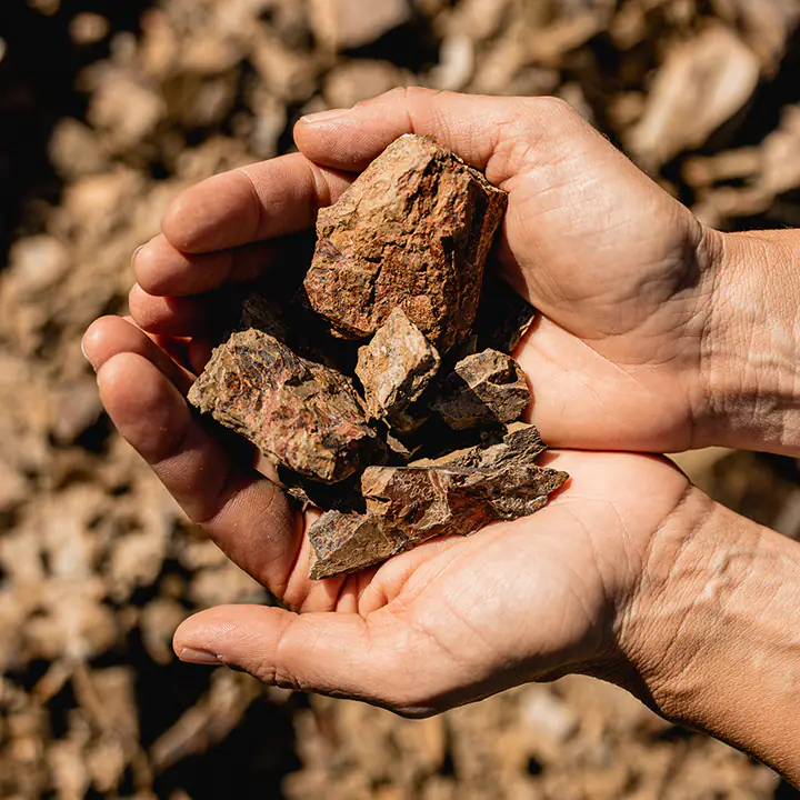 Terroir SanCarlo Montalcino