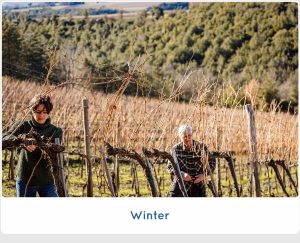 SanCarlo Montalcino Winter