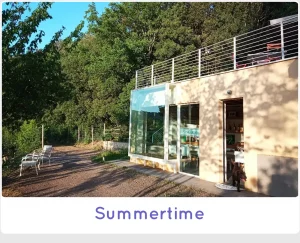 Summertime SanCarlo Montalcino 2022