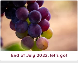 Summer 2022 at SanCarlo Montalcino, end of July