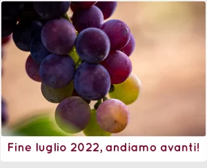 Estate 2022 a SanCarlo Montalcino, invaiatura