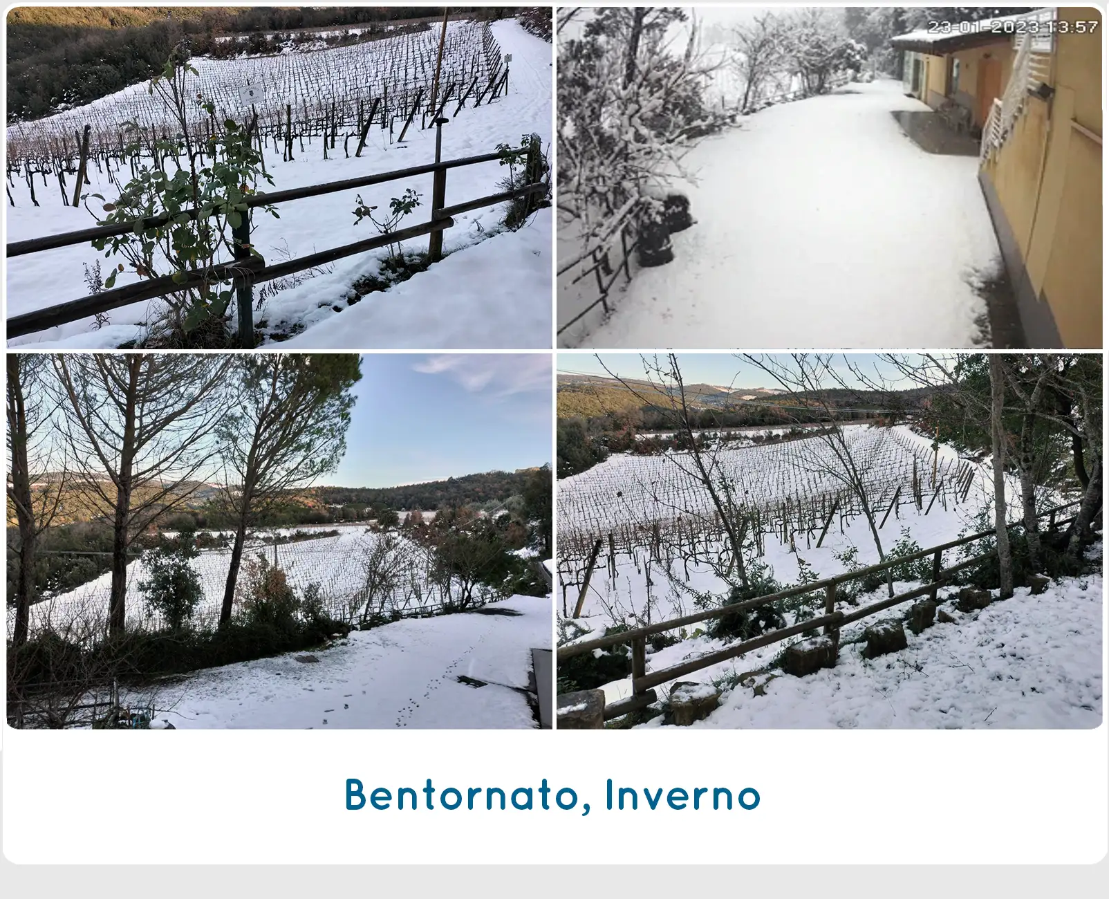 Nevicata invernale 2023- SanCarlo Montaclino