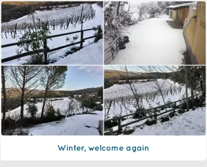 Winter snow 2023 - SanCarlo Montalcino