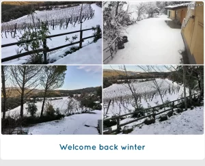 welcome back winter and snow 2023 - SanCarlo Montalcino