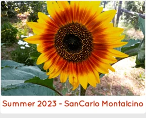 Summer 2023 at SanCarlo Montalcino