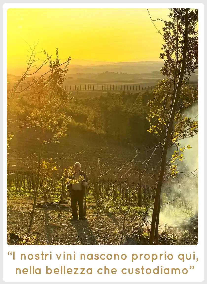 SanCarlo Montalcino al tramonto - I nostri vini nascono proprio qui,nella bellezza che custodiamo