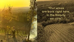 SanCarlo Montalcino - The beauty we care