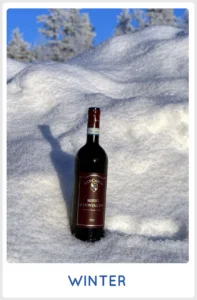SanCarlo Winter 2025