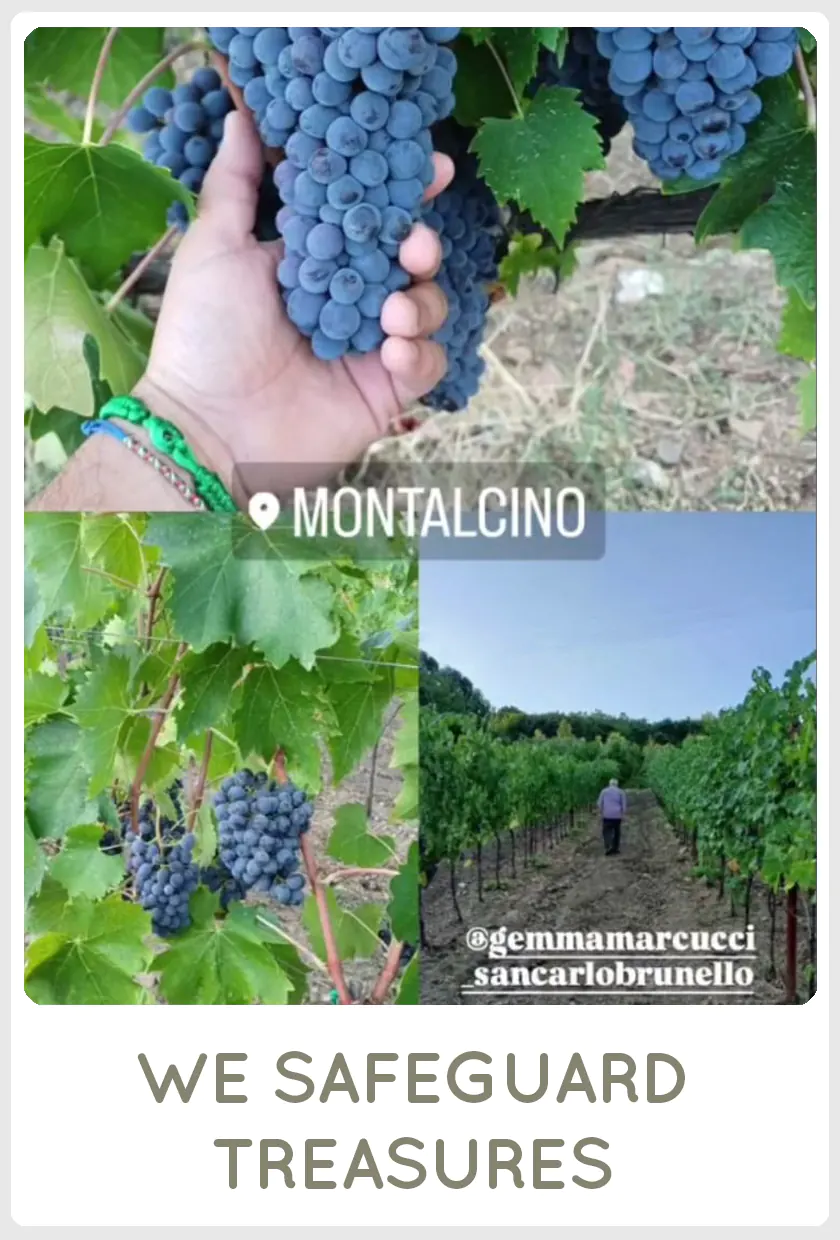 SanCarlo Montalcino, we safeguard treasures