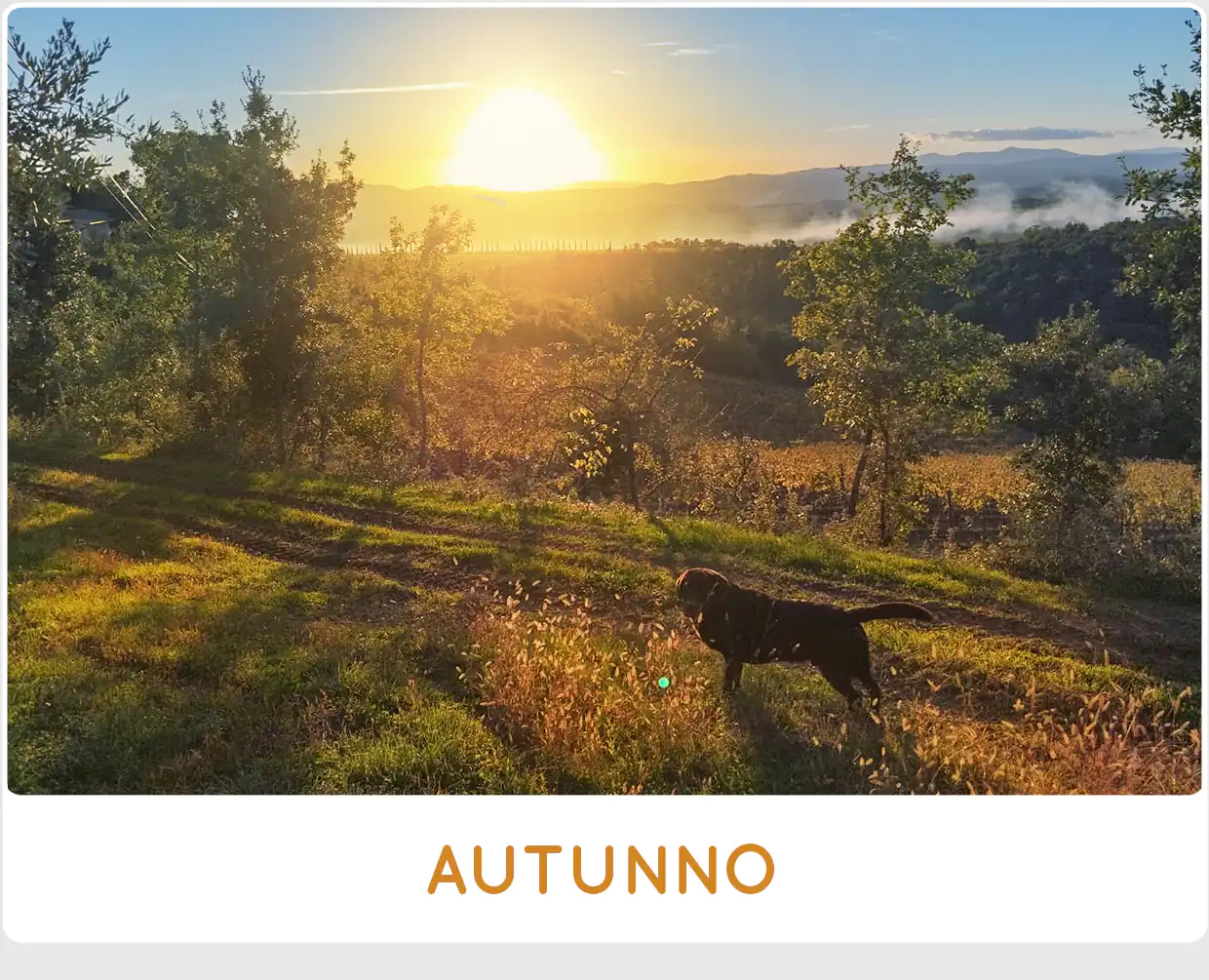 Autunno 2026 a SanCarlo Montalcino